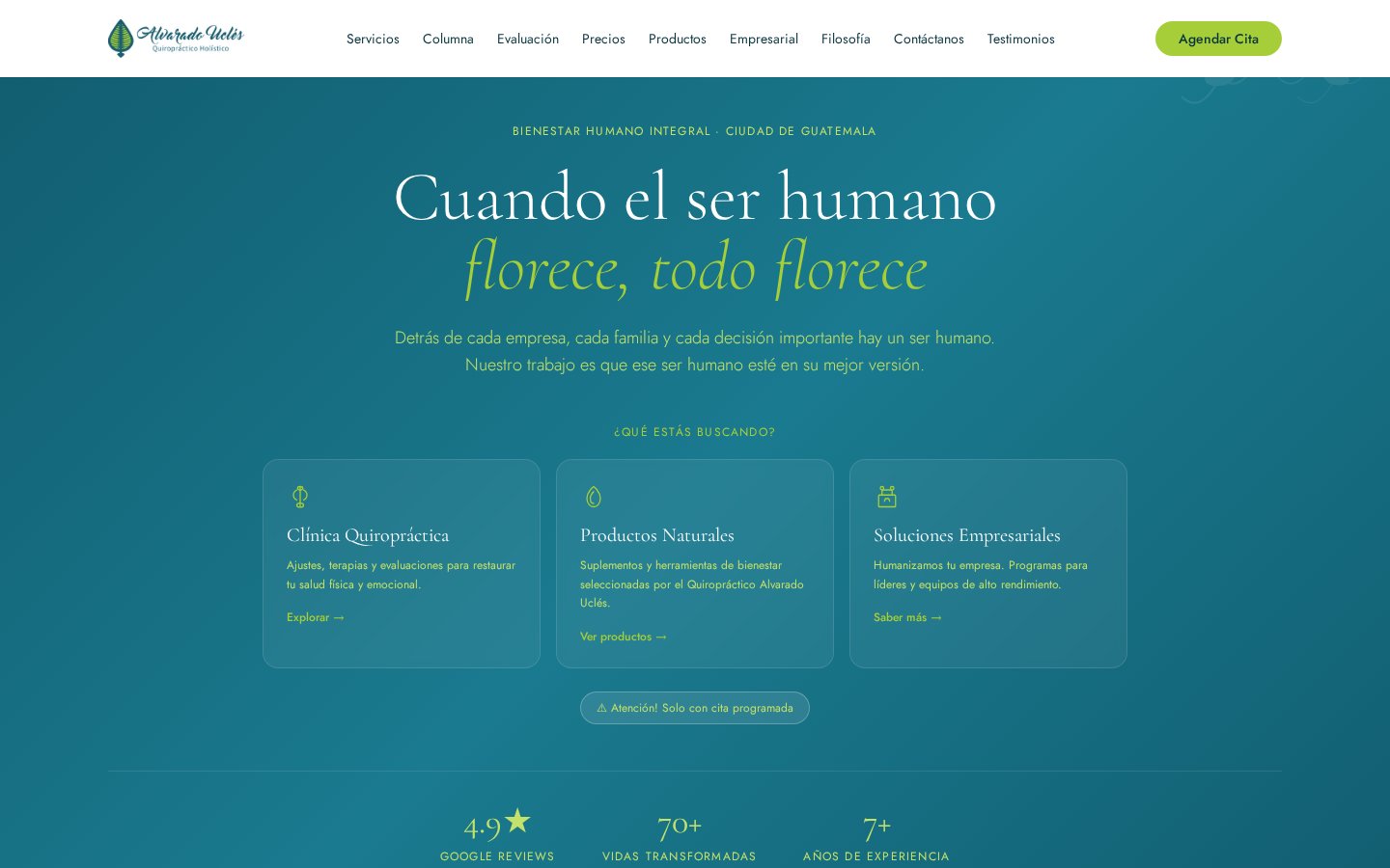Alvarado Ucles Holistic Chiropractic website preview
